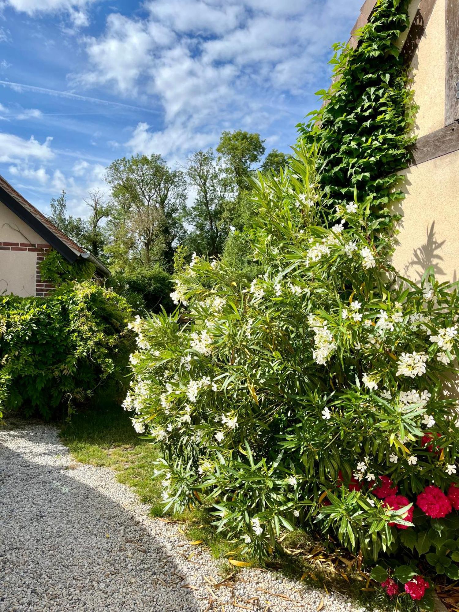Cote Riviere Apartment Ezy-sur-Eure ภายนอก รูปภาพ